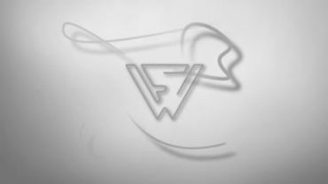 videoblocks-random-lines-logo-reveal