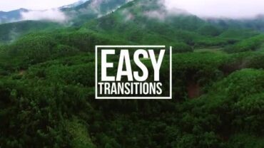 easy-transitions-69708
