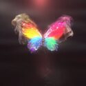 colorful-butterfly-logo-reveal-4k