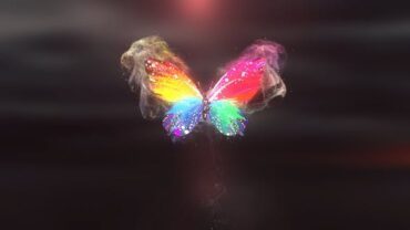 colorful-butterfly-logo-reveal-4k