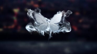 merging-butterflies-logo-reveal