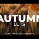 autumn-luts-1061202