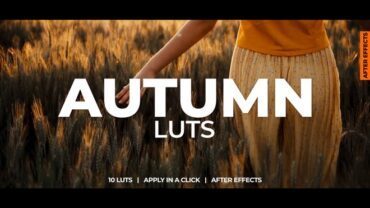 autumn-luts-1061202