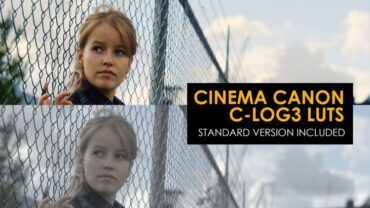 cinema-canon-c-log3-and-standard-luts-1011676