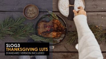 slog3-thanksgiving-and-standard-luts-1046939